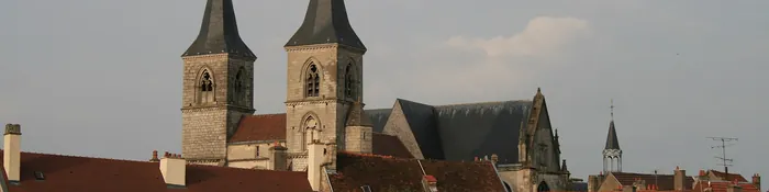Les deux tours de la basilique Saint-Jean-Baptiste au-dessus des toits de tuiles et des maisons en pierre de la vieille ville de Chaumont