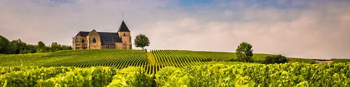 Coteaux de vignes de Champagne et chapelle sur la colline, dans la Marne