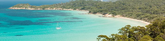 Eaux turquoise et plage de la Courtade bordée de pins sur l'île de Porquerolles, vue depuis le fort Sainte-Agathe, dans le Var