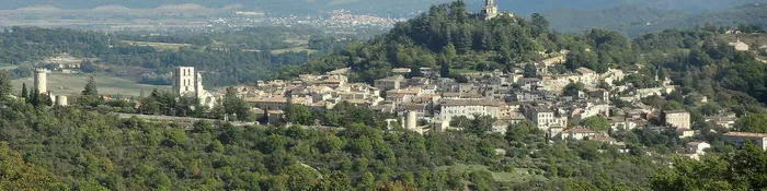 Forcalquier vue du nord : la butte boisée de la citadelle, la chapelle Notre-Dame-de-Provence et les toits du centre ancien