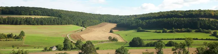Vallon de prairies et de champs moissonnés bordé de forêts de feuillus autour de Vitry-en-Montagne, sur le plateau de Langres en Haute-Marne