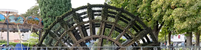 Grande roue à aubes en bois couverte de mousse sur un bras de la Sorgue, au centre de L'Isle-sur-la-Sorgue