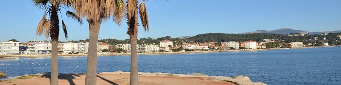 Palmiers au bord de l'eau aux Sablettes et immeubles de la corniche de Tamaris à La Seyne-sur-Mer, sous un ciel bleu