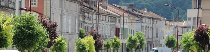 Rue de Strasbourg à Ligny-en-Barrois, maisons mitoyennes en pierre, arbres d'alignement et coteau boisé au fond