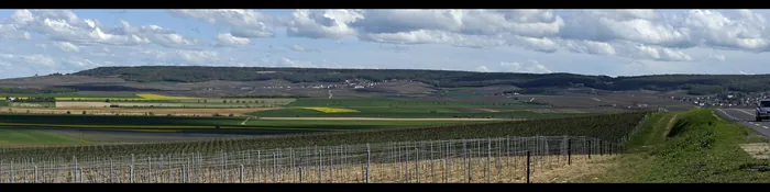Plaine cultivée, rangs de vignes et crête boisée de la Montagne de Reims vers Ludes et Mailly-Champagne, dans la Marne