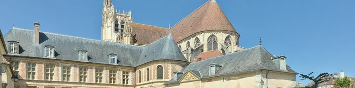 Tour et chevet de la cathédrale Saint-Étienne de Sens au-dessus du palais des archevêques, vus depuis la cour-jardin