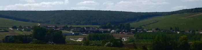 Vignes du premier cru Vaulorent au premier plan, bourg de Chablis et coteaux boisés en arrière-plan, dans l'Yonne